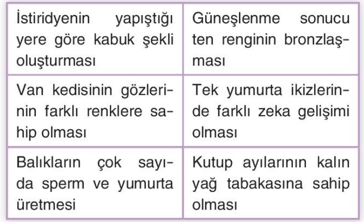 soru gorseli