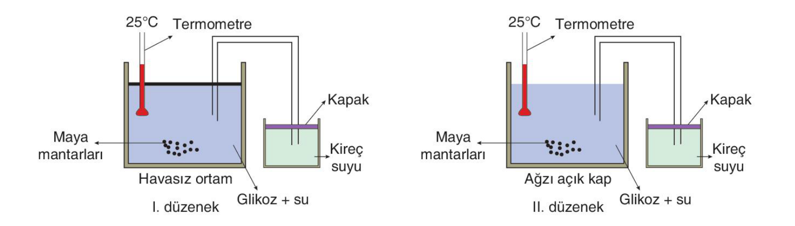 soru gorseli