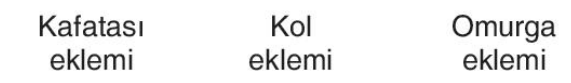 sik gorseli