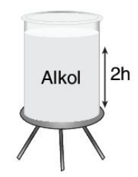 sik gorseli