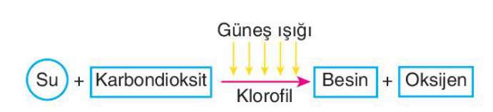 soru gorseli