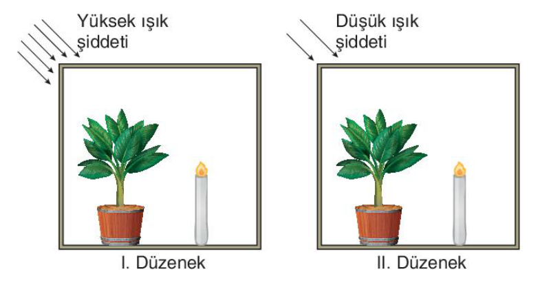 soru gorseli