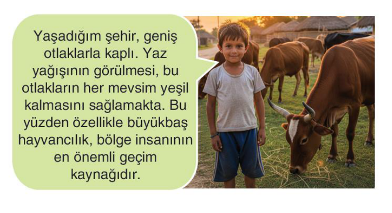 soru gorseli