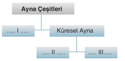 soru gorseli