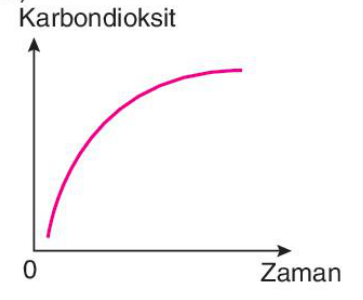 sik gorseli