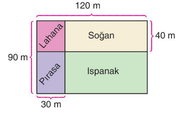 soru gorseli