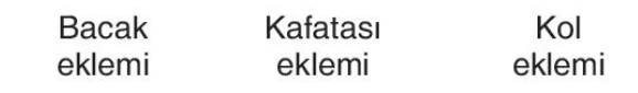 sik gorseli