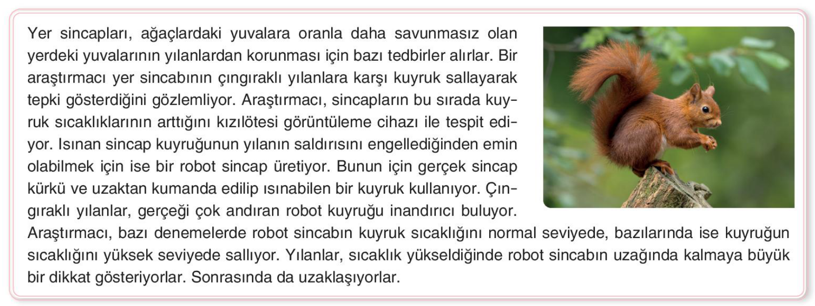 soru gorseli
