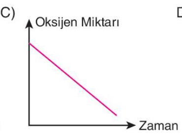 sik gorseli