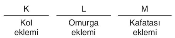 sik gorseli