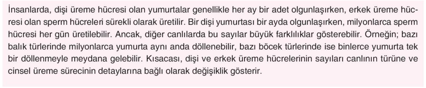 soru gorseli