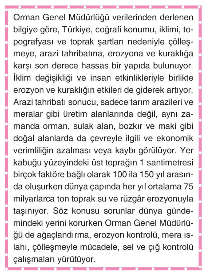 soru gorseli