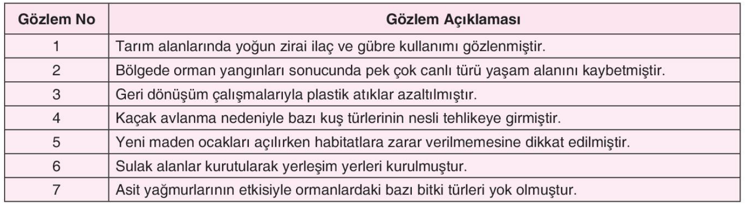 soru gorseli