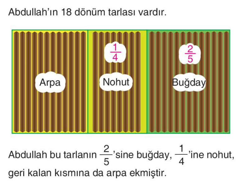 soru gorseli