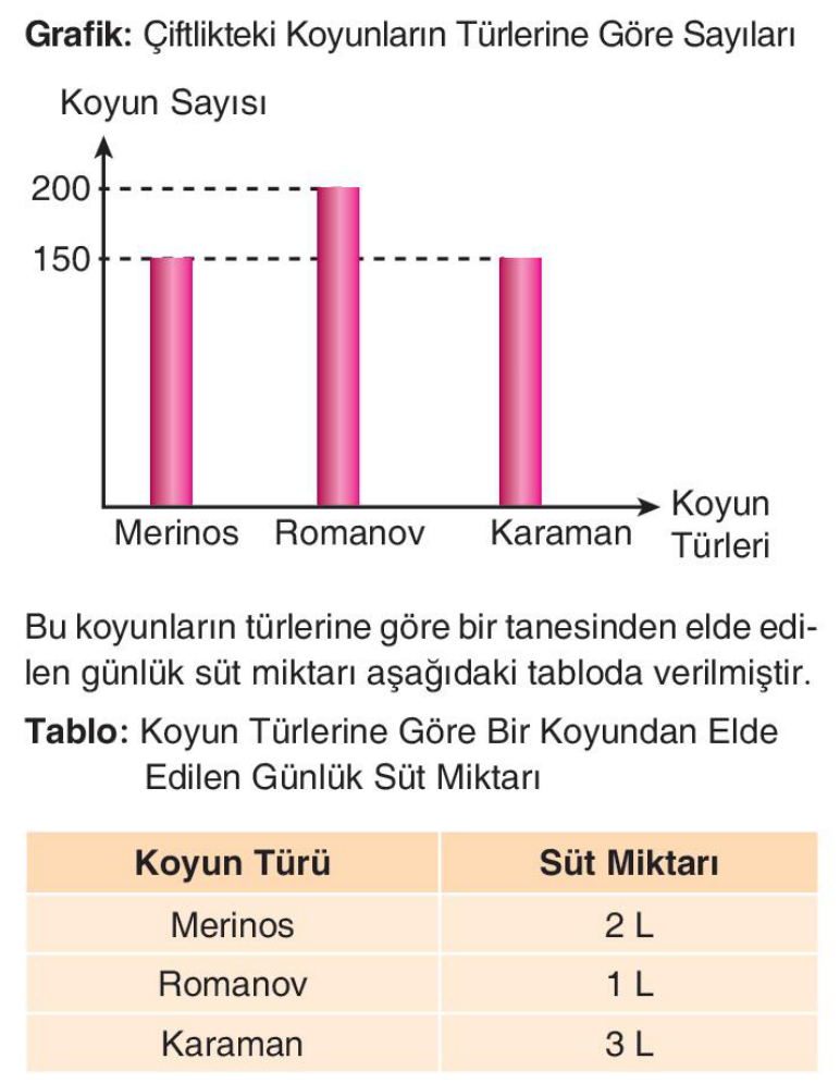 soru gorseli