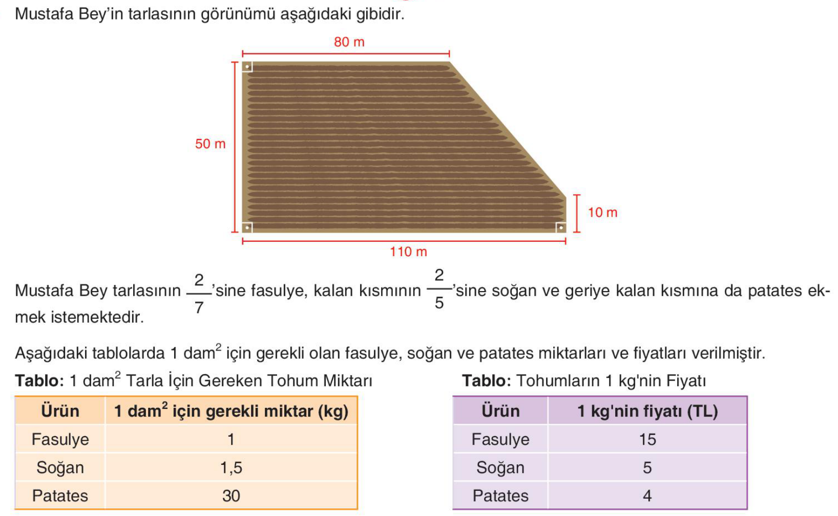 soru gorseli