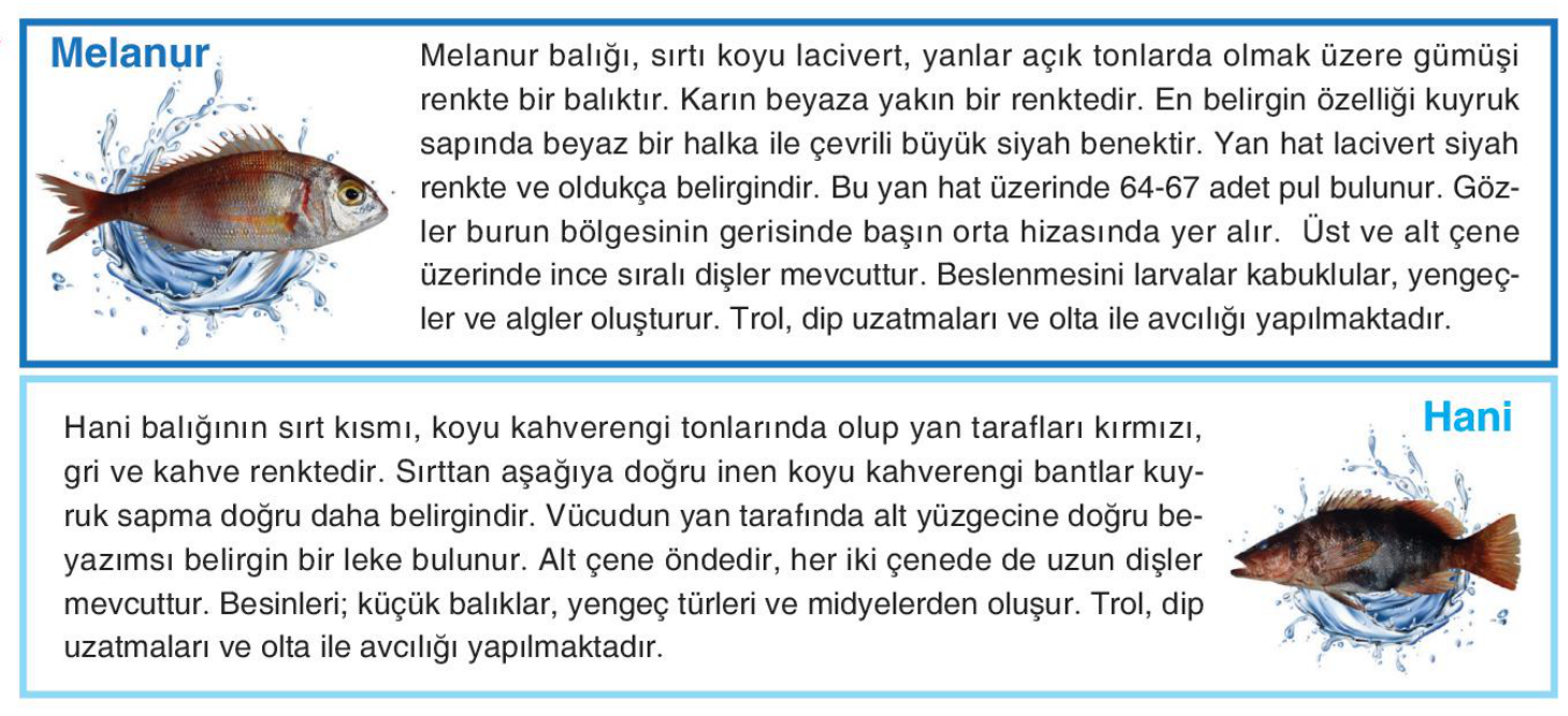 soru gorseli
