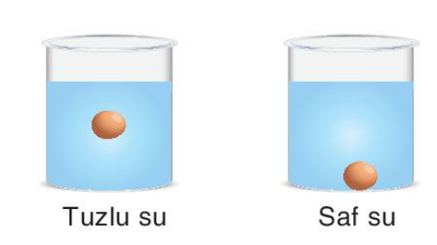 soru gorseli