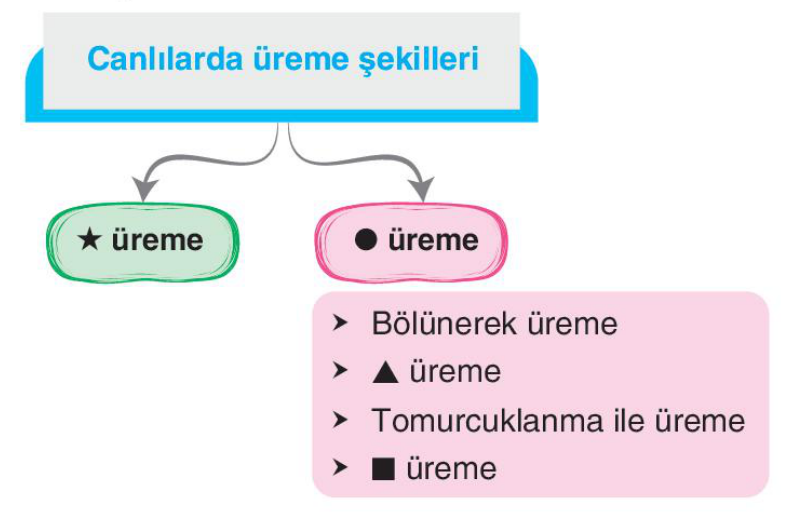 soru gorseli