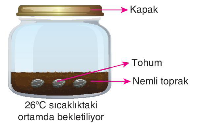 soru gorseli