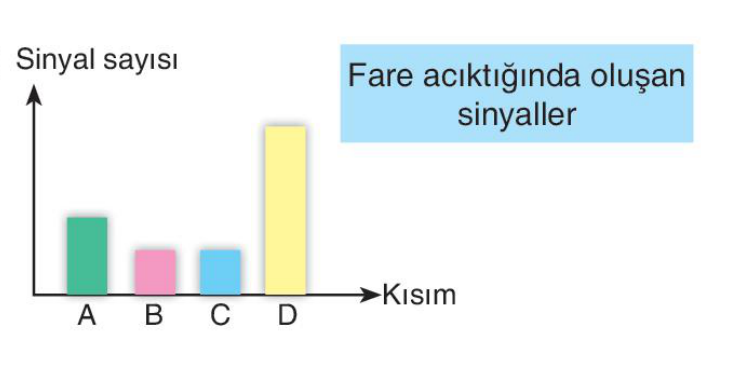 sik gorseli
