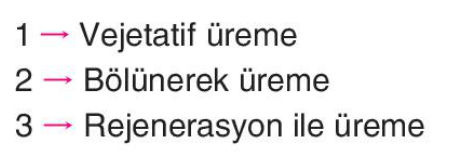 sik gorseli
