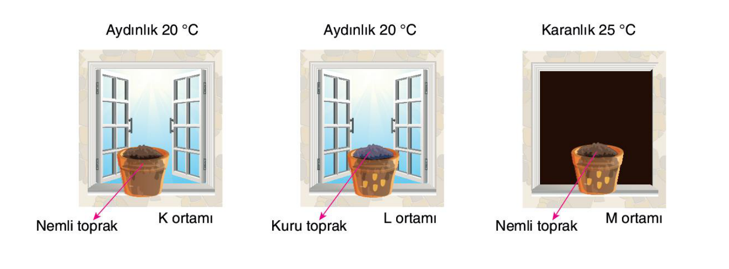 soru gorseli