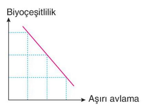 sik gorseli