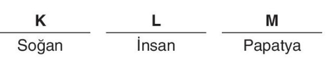 sik gorseli