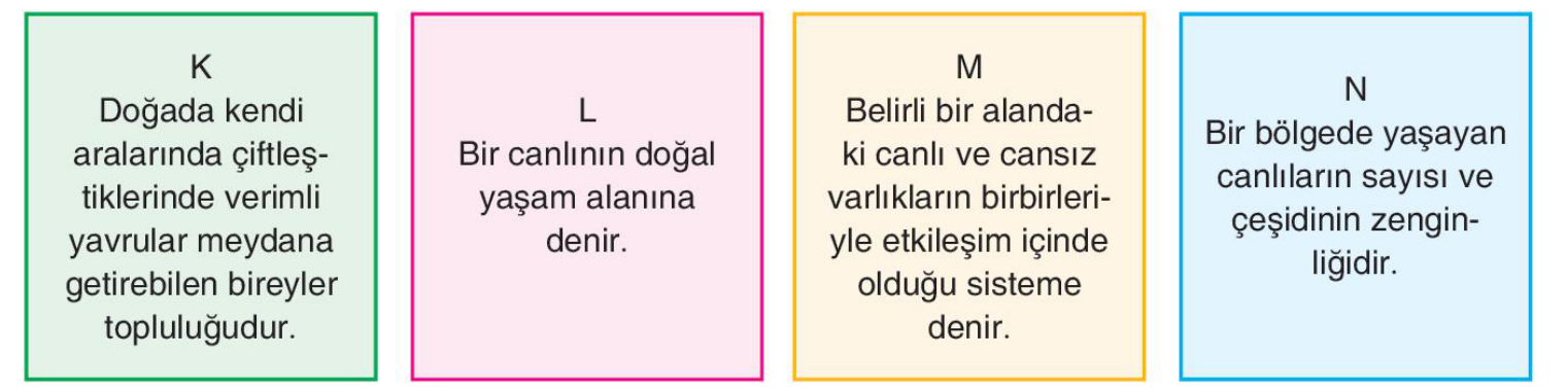 soru gorseli