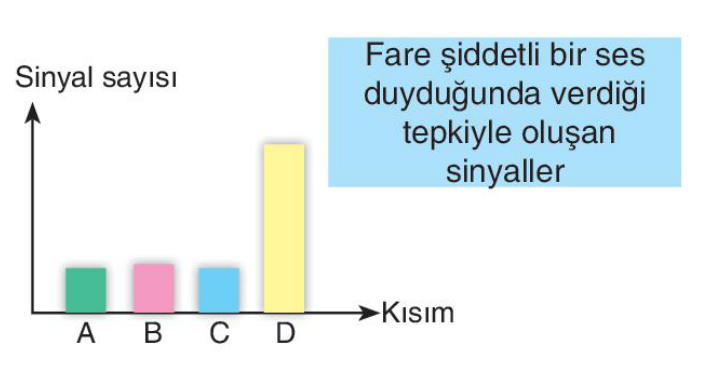 sik gorseli