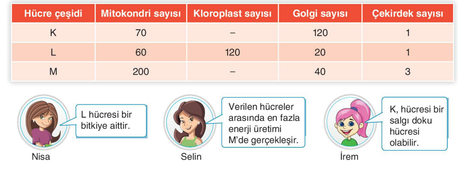 soru gorseli