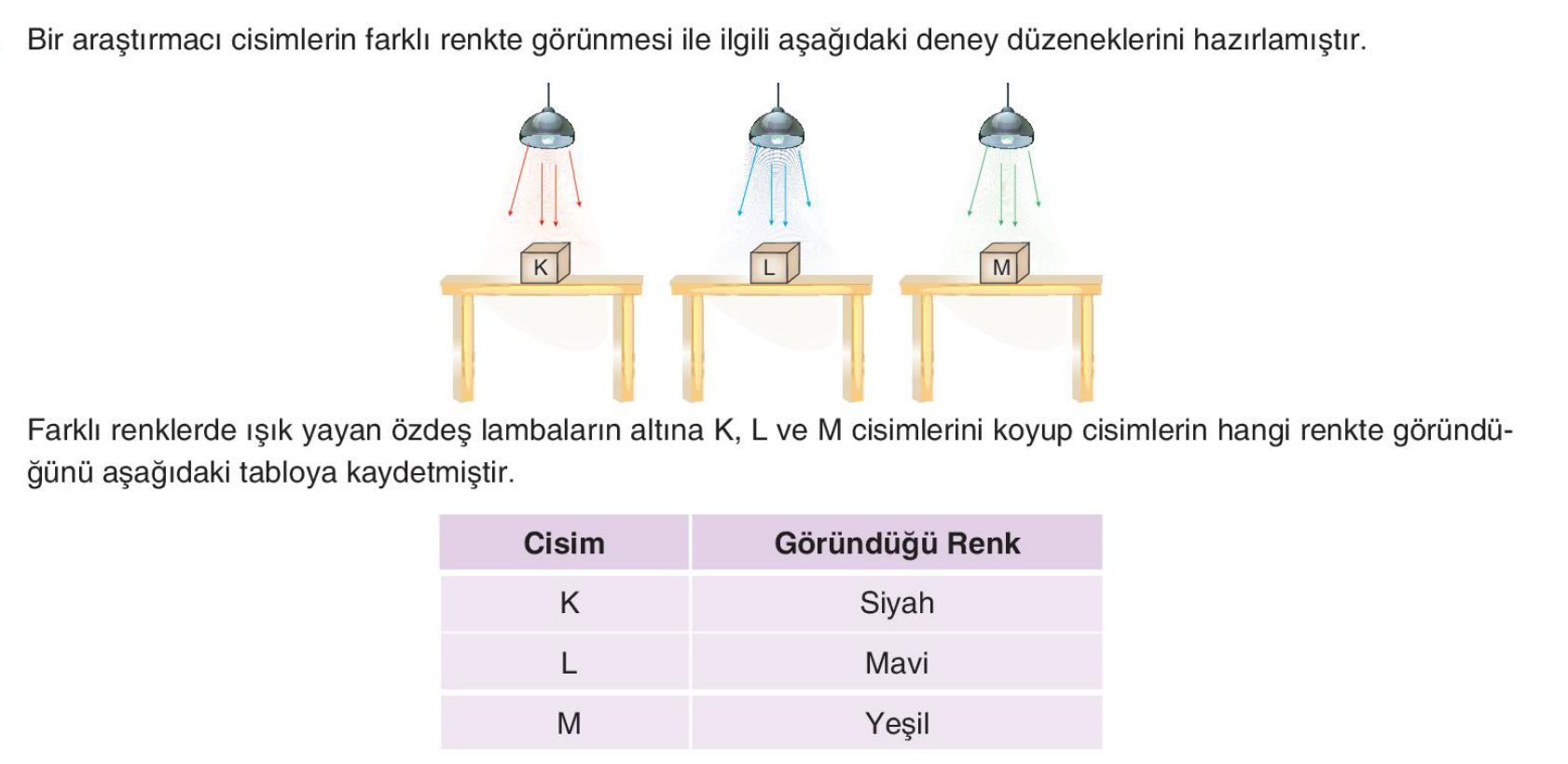 soru gorseli