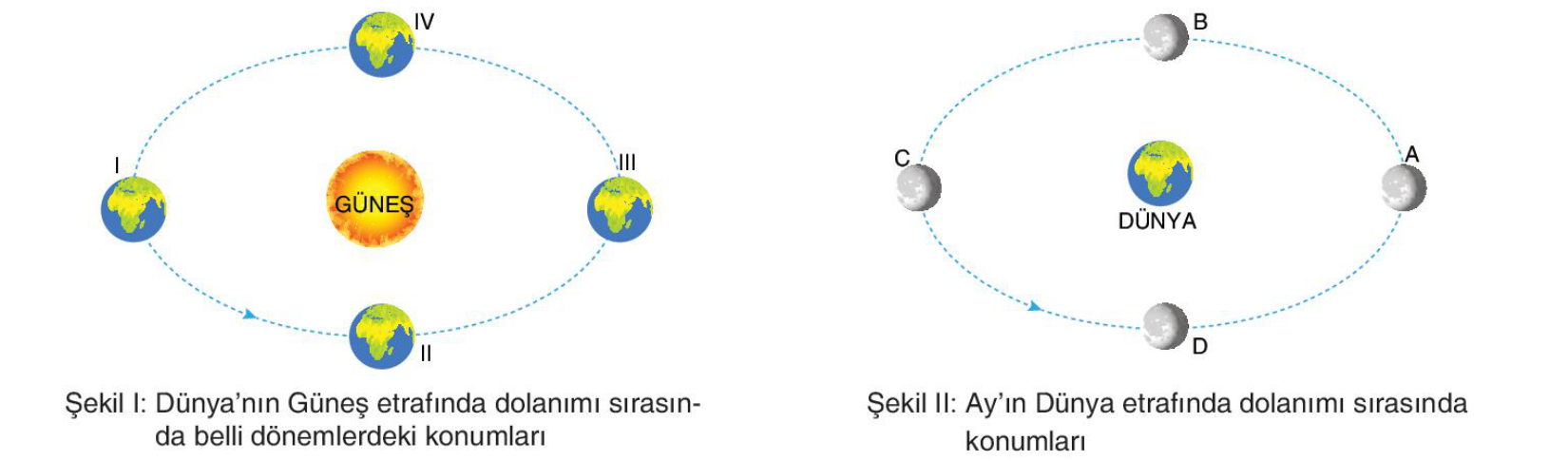 soru gorseli