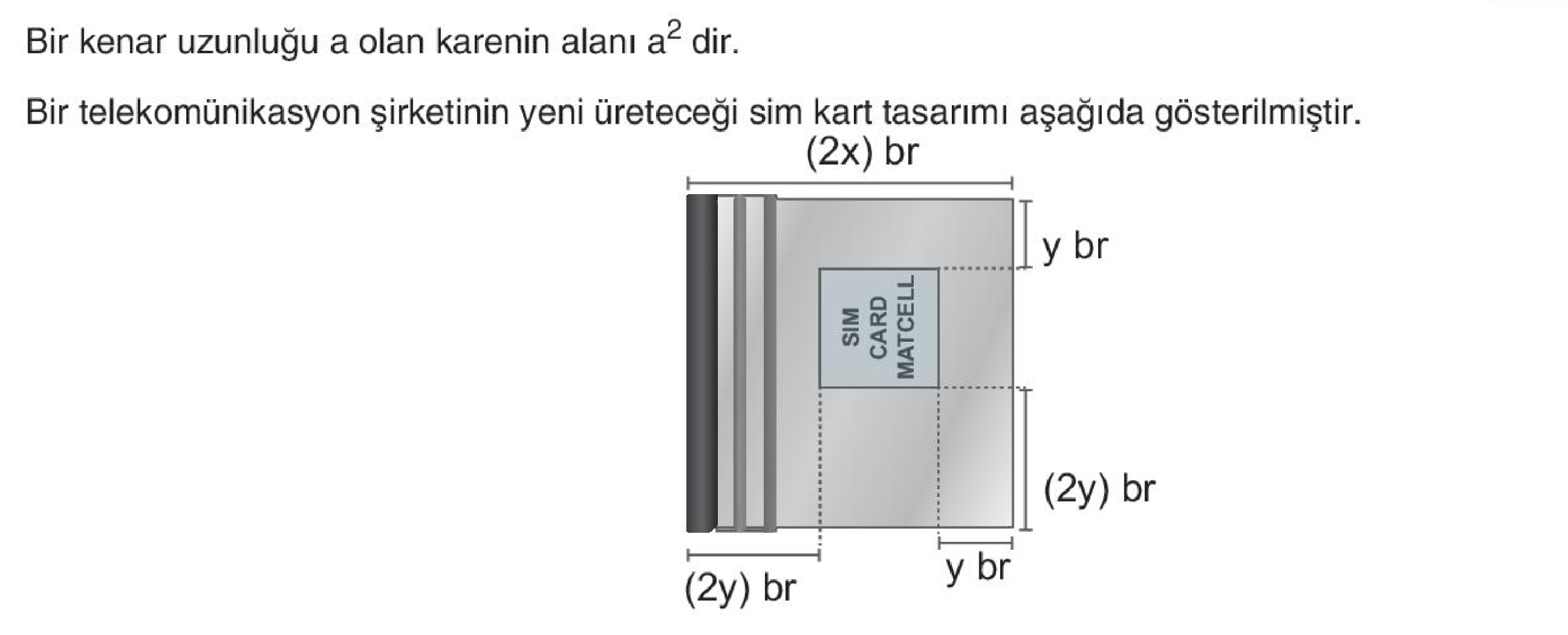 soru gorseli