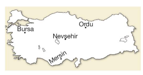 soru gorseli
