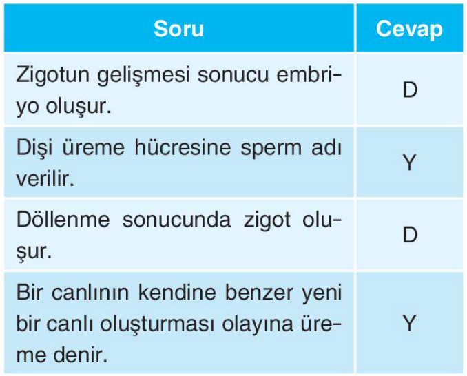 soru gorseli
