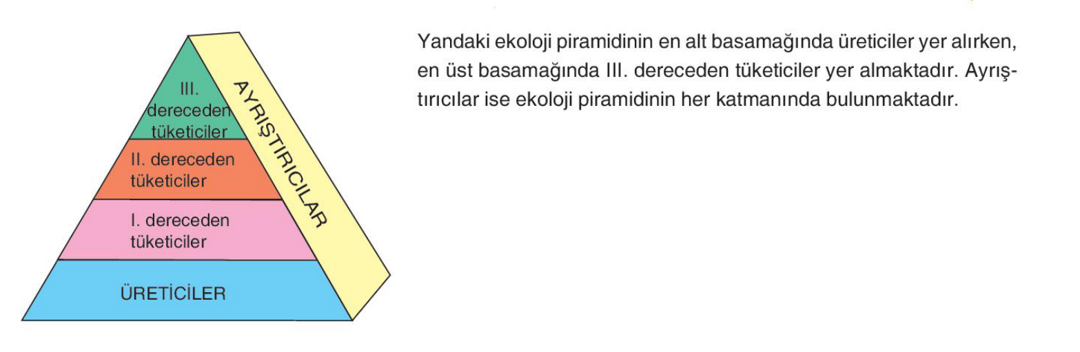 soru gorseli