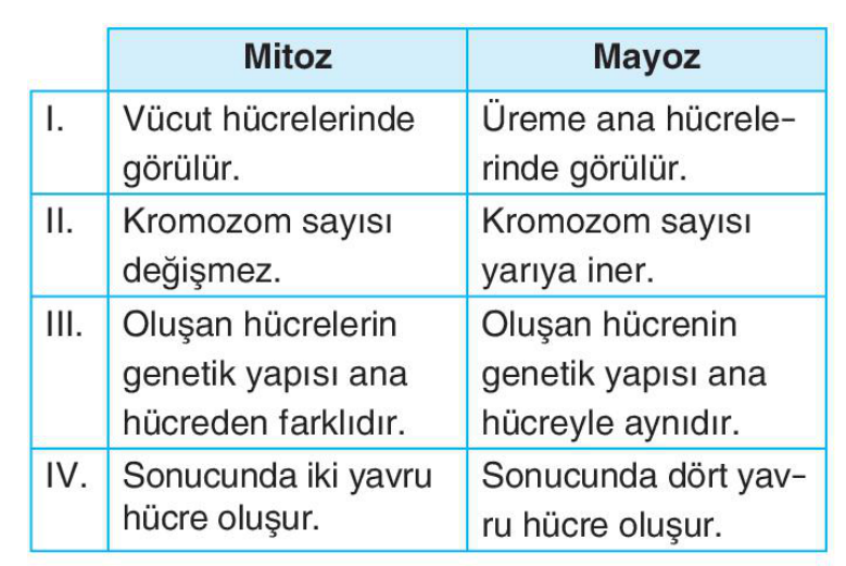 soru gorseli