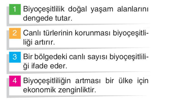 soru gorseli
