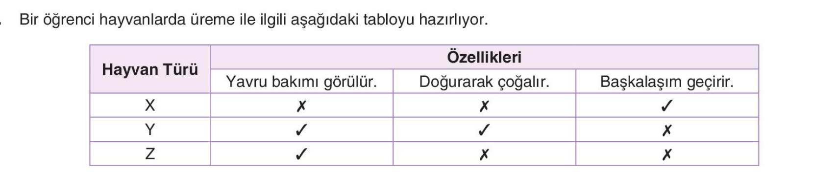 soru gorseli