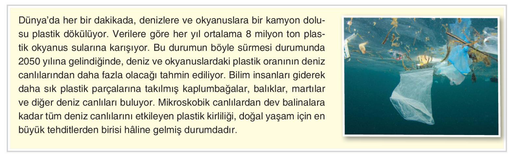soru gorseli