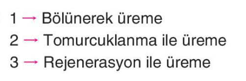 sik gorseli