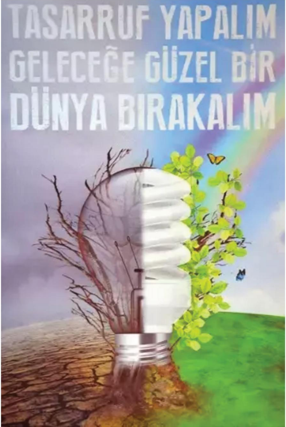 soru gorseli