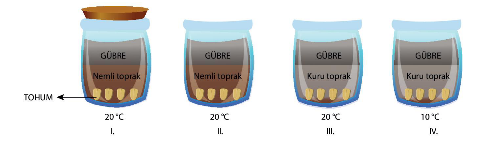 soru gorseli