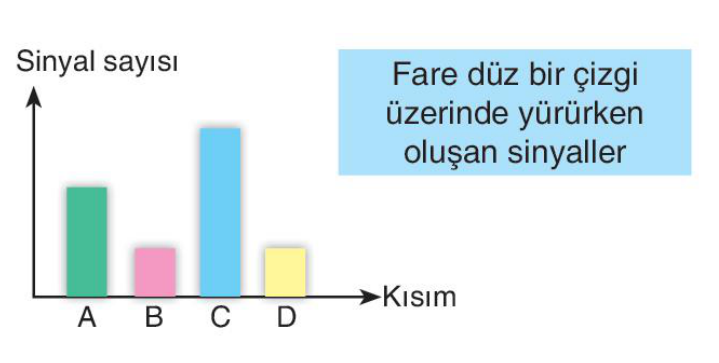 sik gorseli