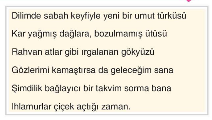soru gorseli