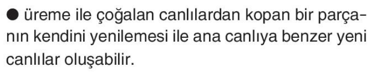 sik gorseli