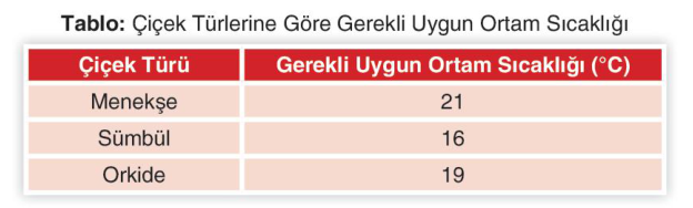 soru gorseli