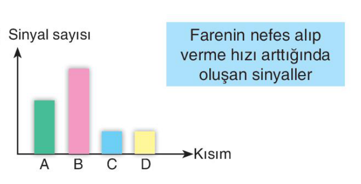 sik gorseli